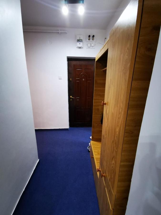Apartament Apartament Vlad Konstanca Zewnętrze zdjęcie